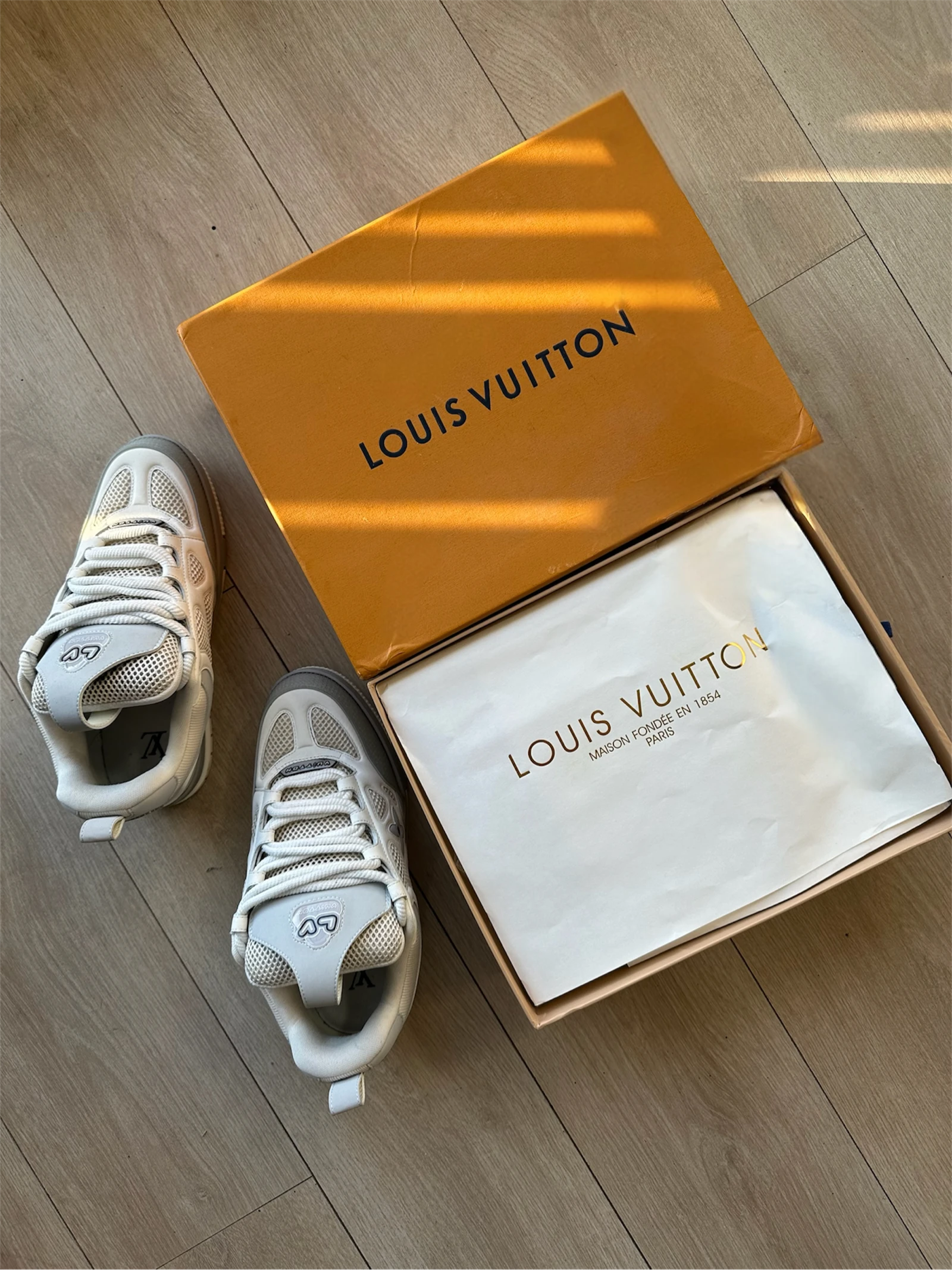 Louis Vuitton LV Skate Sneakers – photo 14
